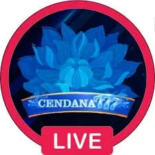 agenhoki